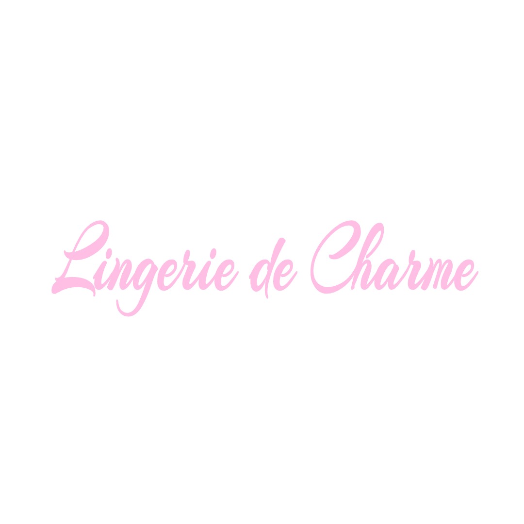 LINGERIE DE CHARME GRAY-LA-VILLE